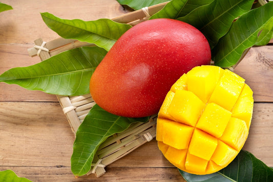 ¿Pueden los perros comer mangos?