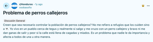 Perros callejeros en Honduras: problema, causas y soluciones posibles